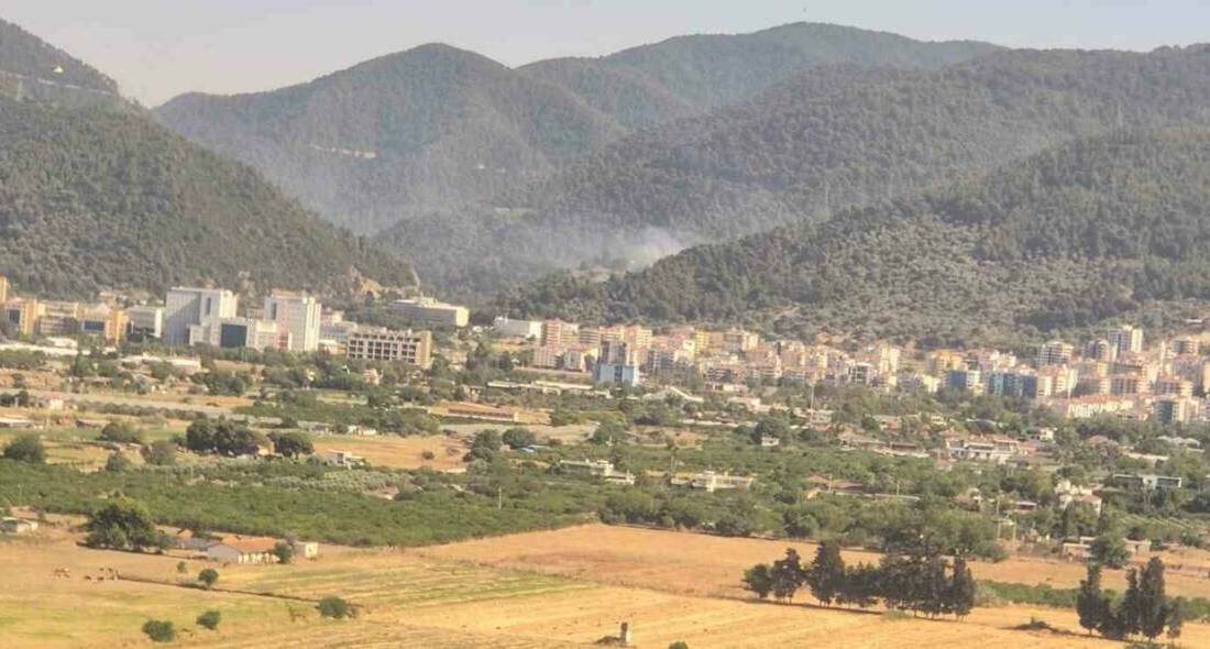 İzmir’in Narlıdere ve Dikili ilçelerinde ormanlık alanda çıkan her iki