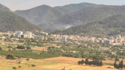 İzmir’in Narlıdere ve Dikili ilçelerinde ormanlık alanda çıkan her iki