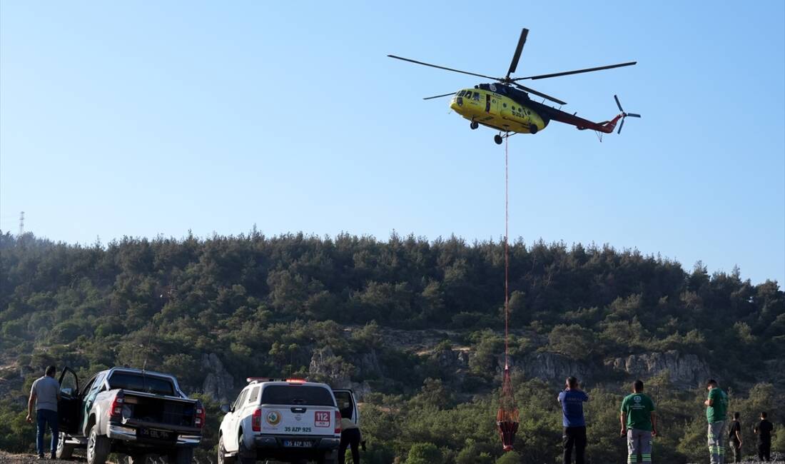 İZMİR (AA) – İzmir’in Aliağa ilçesinde başlayarak Foça’ya sıçrayan orman