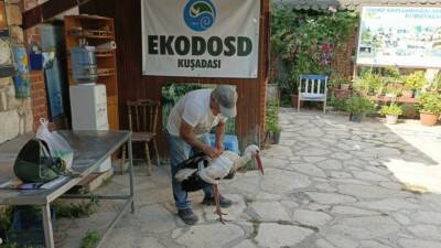 Aydın’ın Söke ilçesine bağlı Kisir Mahallesi’nde bir leyleğin yaralı halde