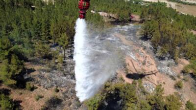 - Vali Mustafa Yavuz:
- "Yangın çıktığı andan itibaren 15 araç