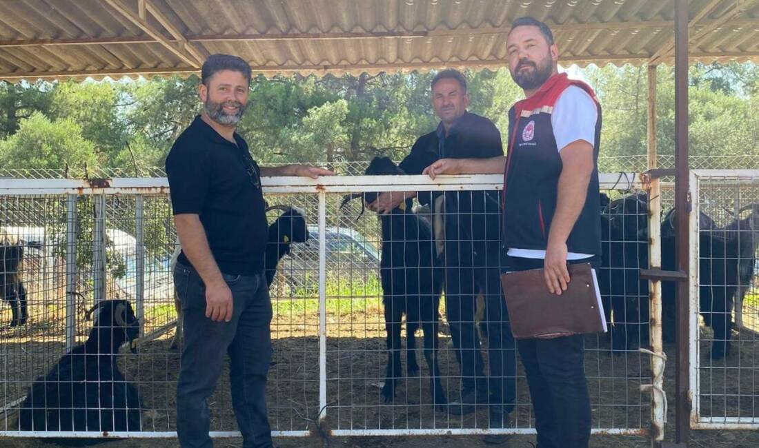 Aydın’ın Karacasu ilçesinde sahaya inen ilçe tarım ekipleri, kurban satış