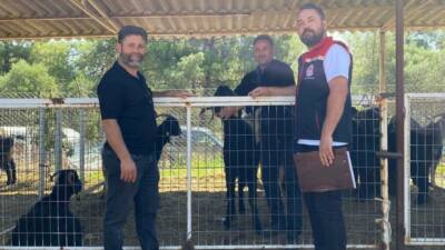 Aydın’ın Karacasu ilçesinde sahaya inen ilçe tarım ekipleri, kurban satış