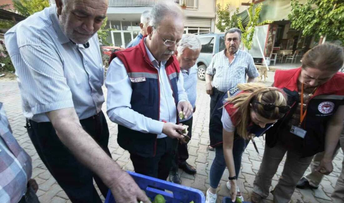 Aydın’ın Karacasu ilçesinde İlçe Tarım ve Orman Müdürlüğü ekipleri tarafından