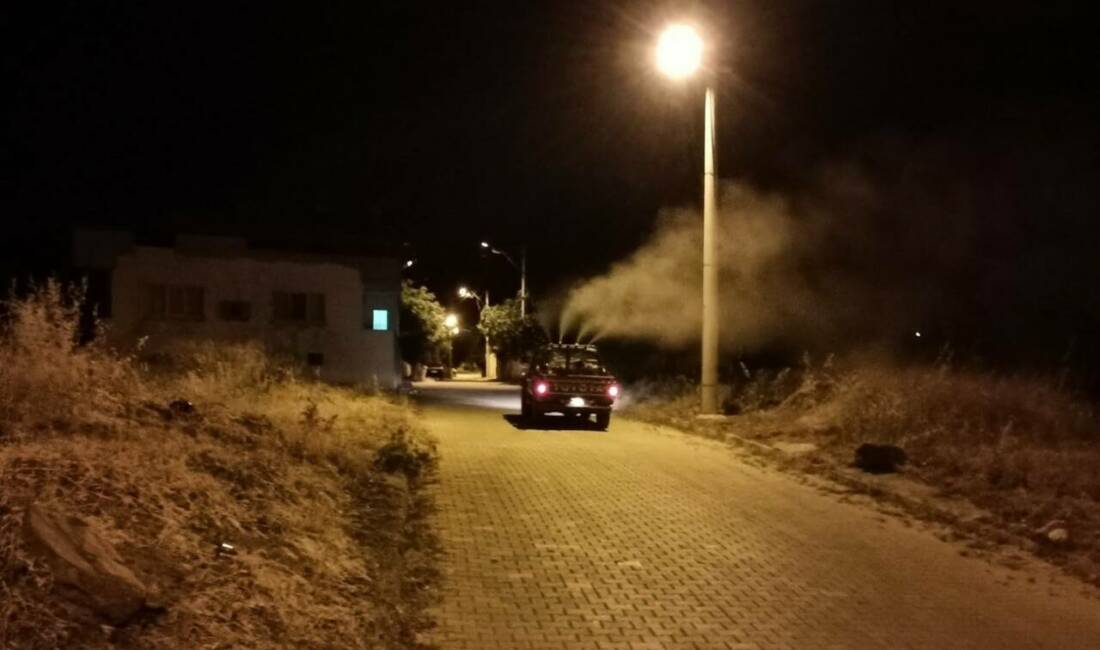 Aydın’ın Karacasu ilçesinde 3 ayrı ekibe ayrılan belediye ekipleri, sinek