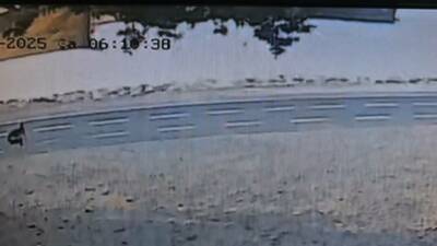 Tekirdağ’ın Şarköy ilçesi açıklarında karaya oturan kuru yük gemisinin kıyıya