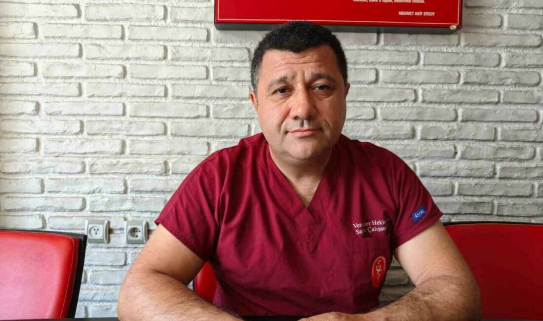 Kayseri Veteriner Hekimler Odası Başkanı Akgün Ergül, soğuk geçen kış