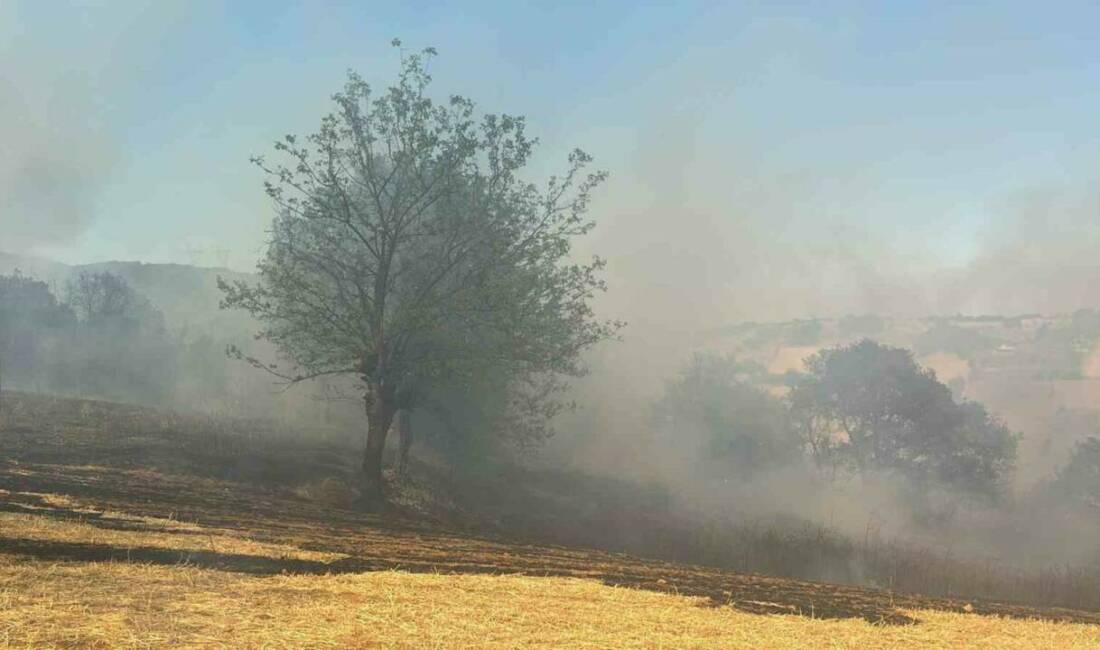 Bursa’nın Kestel ilçesindeki orman yangınına havadan ve karadan müdahale ediliyor.