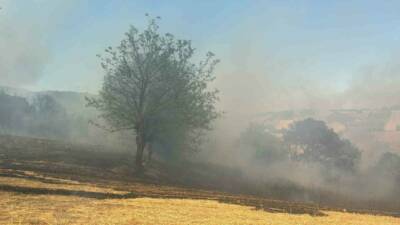 Bursa’nın Kestel ilçesindeki orman yangınına havadan ve karadan müdahale ediliyor.