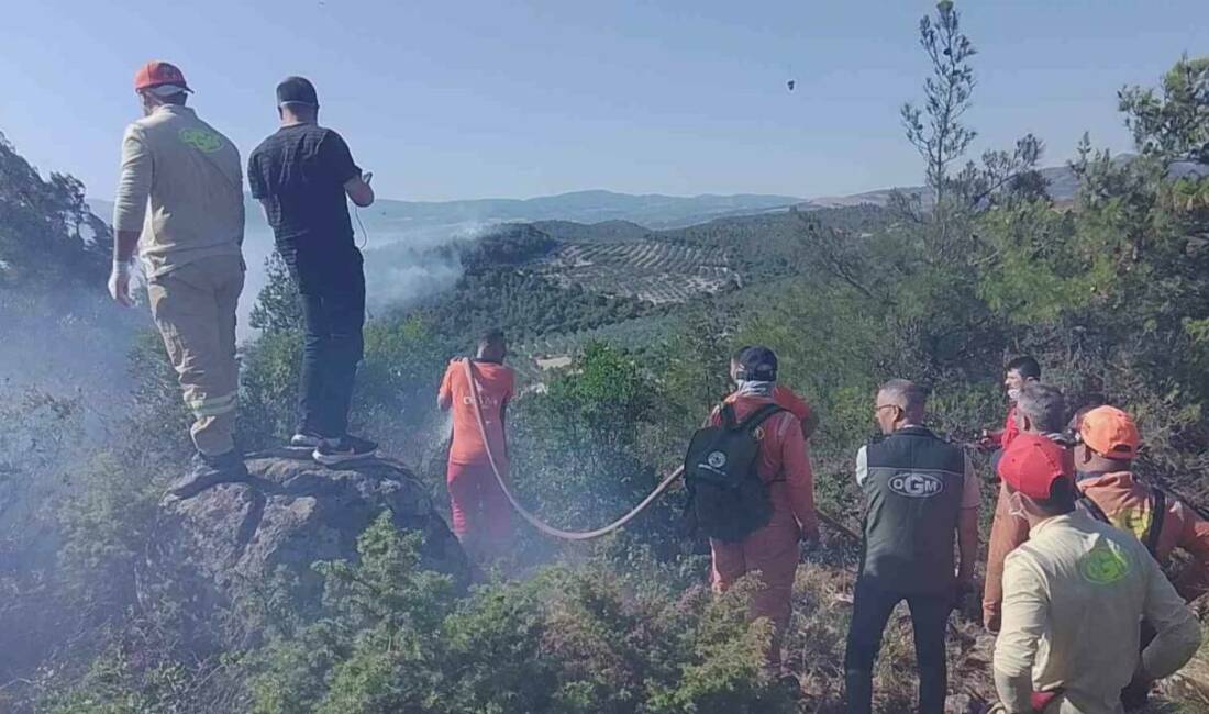 Manisa’nın Kırkağaç ilçesinde başlayan orman yangını İzmir Orman Bölge Müdürlüğü