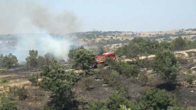 Kırklareli’nde ceviz bahçesi ve orman alanında çıkan yangın kontrol altına