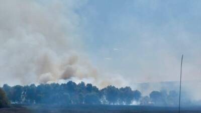 KIRKLARELİ (AA) – Kırklareli’nin Pınarhisar ilçesinde tarım arazisinde başlayıp ağaçlık