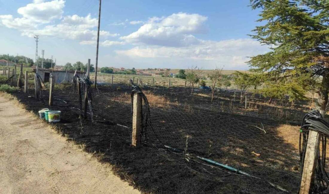 KIRŞEHİR (İHA) – Kırşehir İl Jandarma Komutanlığı ekipleri, son günlerde