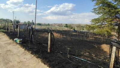 KIRŞEHİR (İHA) – Kırşehir İl Jandarma Komutanlığı ekipleri, son günlerde