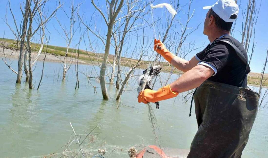 Çorum’un Alaca ilçesindeki Koçhisar Barajı’nda denetim yapan Tarım ve Orman