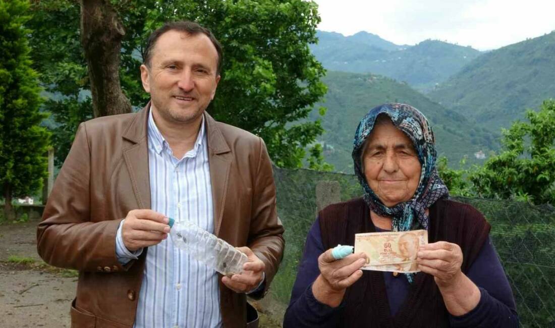Ordu’da kahverengi kokarca zararlısına karşı ilginç ve etkili bir mücadele
