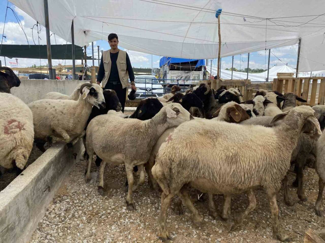 Konya’da kurban satıcıları, bayram öncesinde işlerinde sakinlik olduğunu ifade ederken,