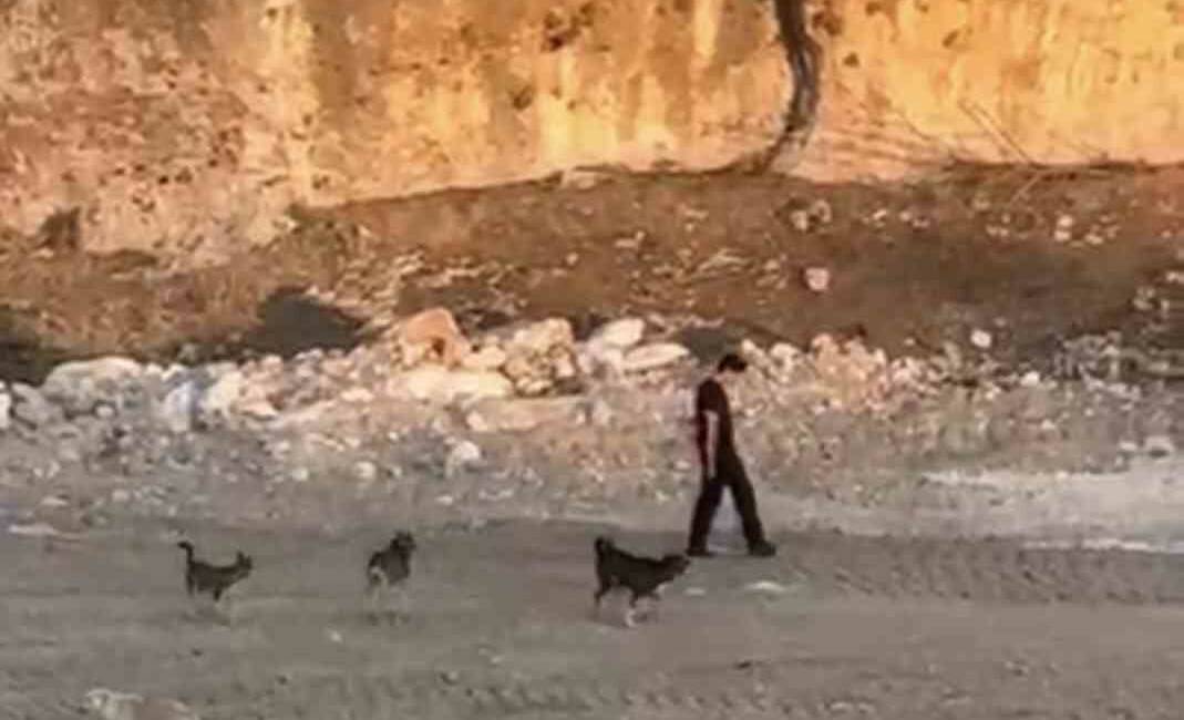 Mardin’in Artuklu ilçesinde bir kişinin kendisine saldırmaya çalışan köpeklere aldırış