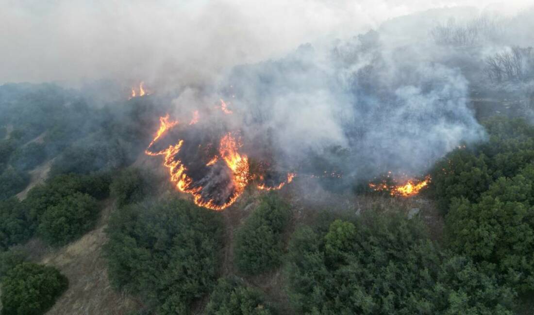 Manisa’nın Kula İlçesinde makilik alanda yangın çıktı. Rüzgarın da etkisiyle