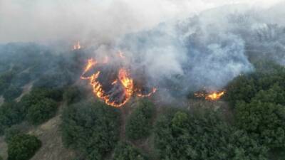 Manisa’nın Kula İlçesinde makilik alanda yangın çıktı. Rüzgarın da etkisiyle