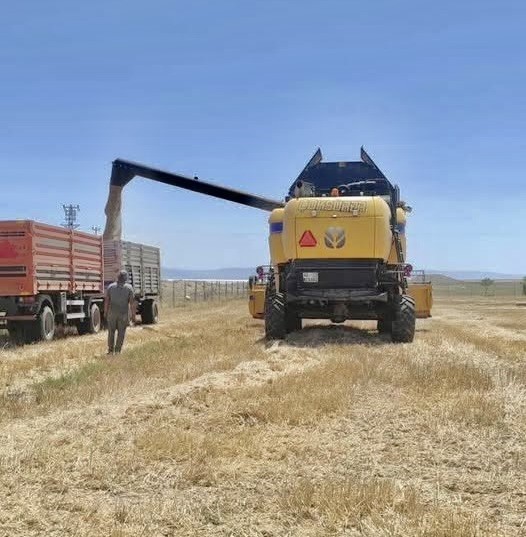 Konya’nın Kulu ilçesinde biçerdöverler denetlendi. Kulu İlçe Tarım ve Orman
