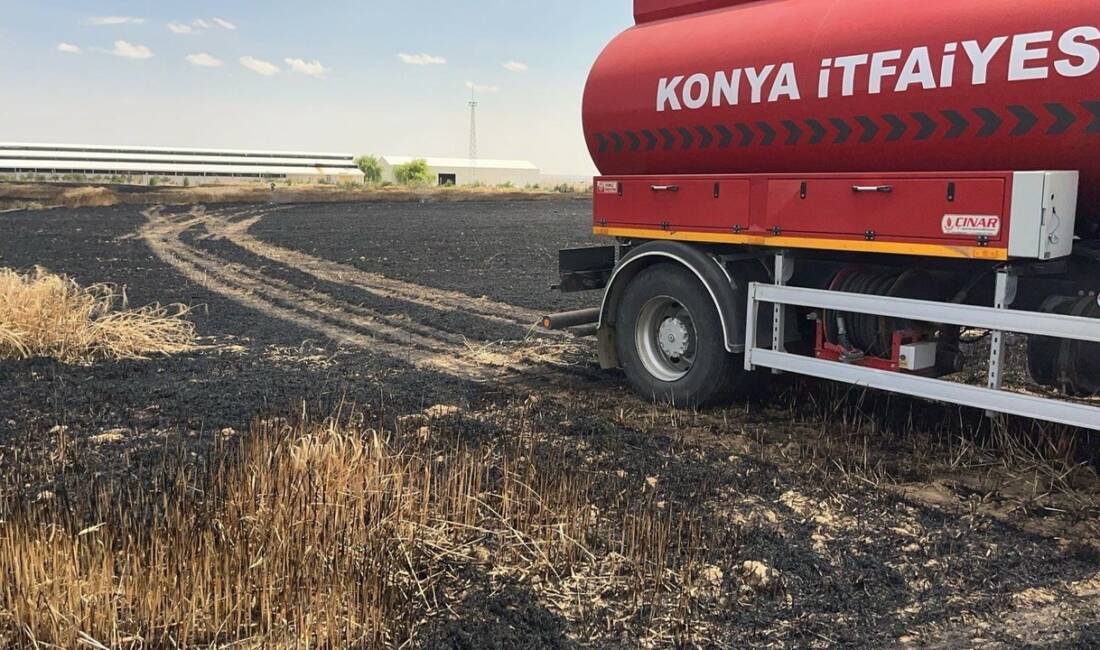 Konya’nın Kulu ilçesinde hasadı yapılmamış 35 dekarlık buğday tarlasında çıkan
