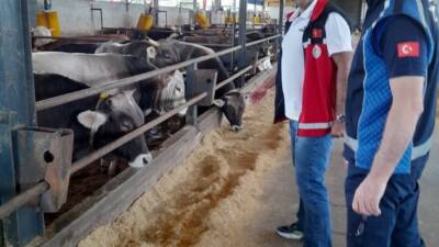 Kartepe’de bayramı öncesi kurban kesim ve satış yerlerinde sıkı denetim