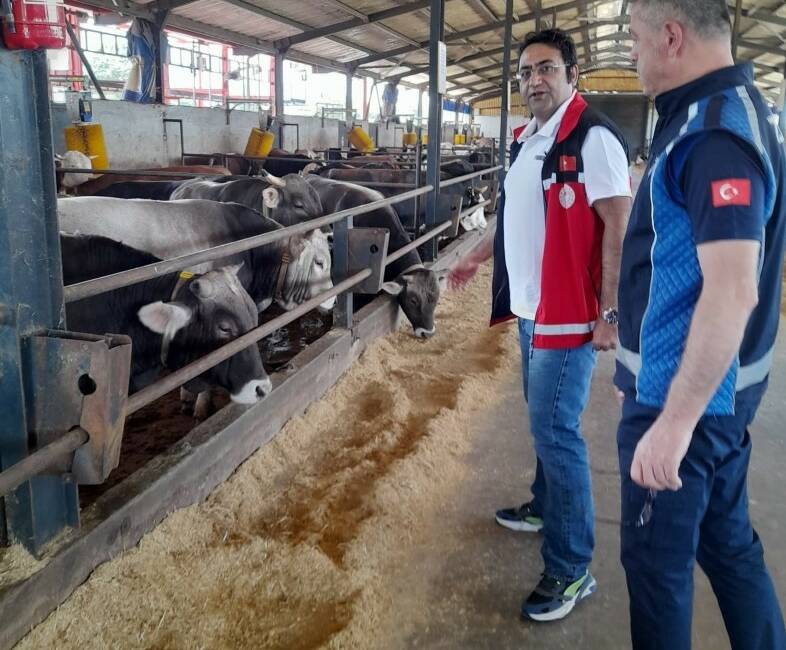 Kartepe’de bayramı öncesi kurban kesim ve satış yerlerinde sıkı denetim