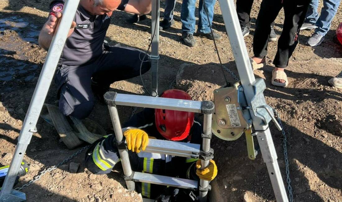Erzurum’da itfaiye ekipleri su kuyusuna düşen koyunu kurtararak sahibine teslim