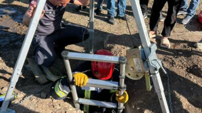 Erzurum’da itfaiye ekipleri su kuyusuna düşen koyunu kurtararak sahibine teslim