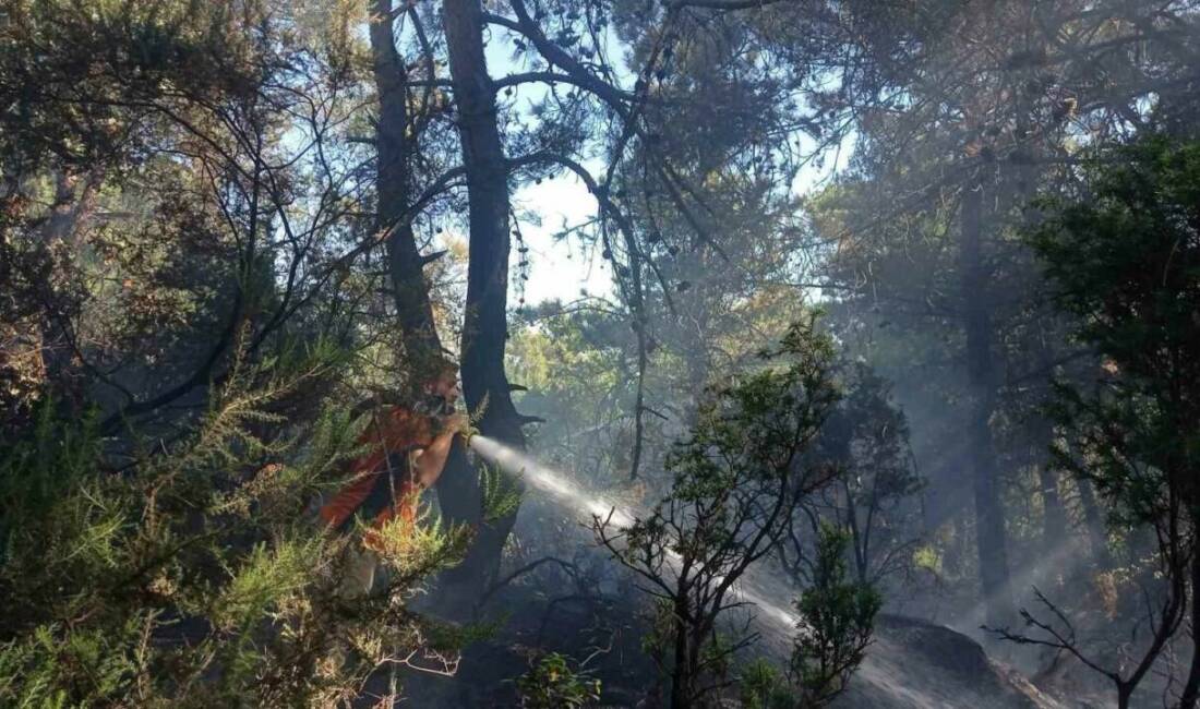 Çanakkale’nin Lapseki ilçesinde ormanlık alanda başlayan yangın ekiplerin karadan müdehalesiyle