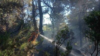 Çanakkale’nin Lapseki ilçesinde ormanlık alanda başlayan yangın ekiplerin karadan müdehalesiyle