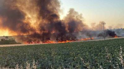 Kırklareli’nin Lüleburgaz ilçesinde çıkan yangında, yaklaşık 40 dönümlük tarlada hasadı