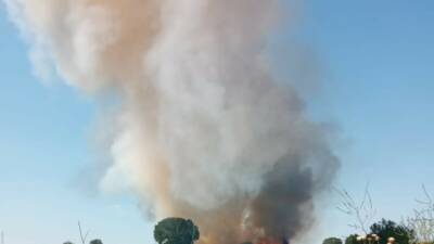 Tekirdağ’ın Malkara ilçesinde henüz biçilmemiş buğday tarlasında çıkan yangında yaklaşık