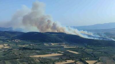 Manisa’nın Kırkağaç ilçesinde ormanlık alanda yangın çıktı. Ekiplerin havadan ve