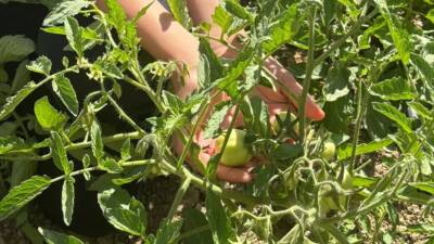 Manisa’nın Yunusemre ilçesinde bulunan Akgedik TOKİ Ortaokulu, 2024-2025 eğitim-öğretim yılının