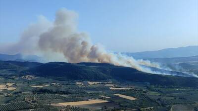 MANİSA (AA) – Manisa’nın Kırkağaç ilçesinde çıkan orman yangınına havadan