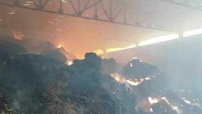 Manisa’nın Salihli ilçesinde bir çiftliğe ait samanlıkta çıkan yangında, binlerce