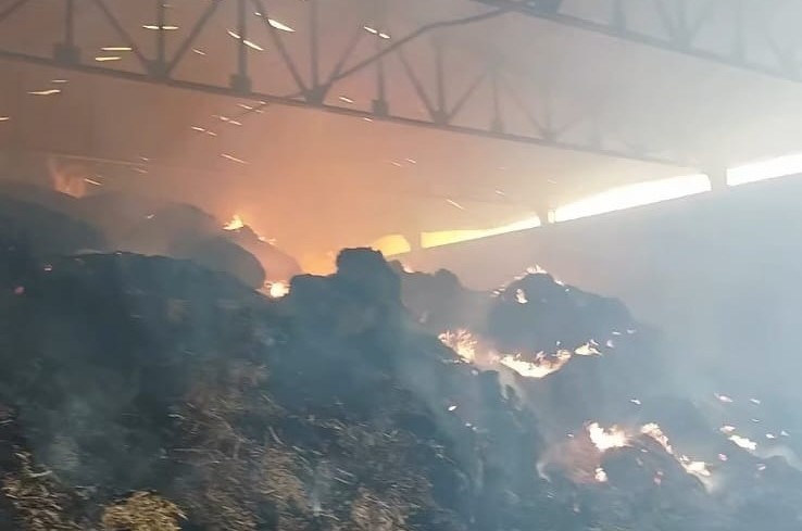 Manisa’nın Salihli ilçesinde bir çiftliğe ait samanlıkta çıkan yangında, binlerce