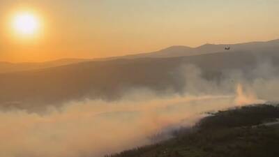 Manisa’nın Kırkağaç ilçesinde ormanlık alanda çıkan yangına havadan ve karadan