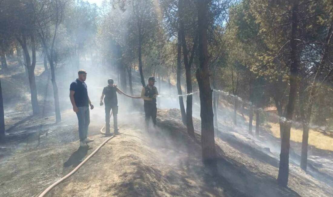 Manisa’nın Salihli ilçesi Cephanelik mevkisinde çıkan orman yangını, ekiplerin hızlı