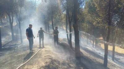 Manisa’nın Salihli ilçesi Cephanelik mevkisinde çıkan orman yangını, ekiplerin hızlı