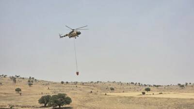 Mardin’in Mazıdağı ilçesinde çıkan orman yangını soğutma çalışmaları sırasında alevler