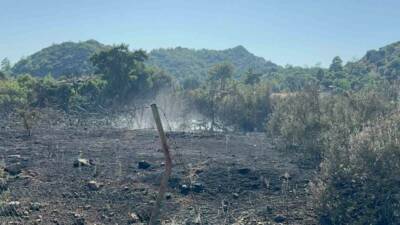 Muğla’nın Marmaris ilçesine bağlı Adaağzı mevkiinde çıkan yangın, ekiplerin zamanında