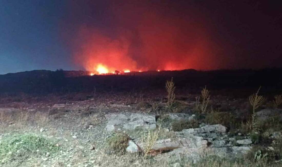 İzmir’in Menemen ilçesinde makilik alanda yangın çıktı. Ekiplerin yangına müdahalesi