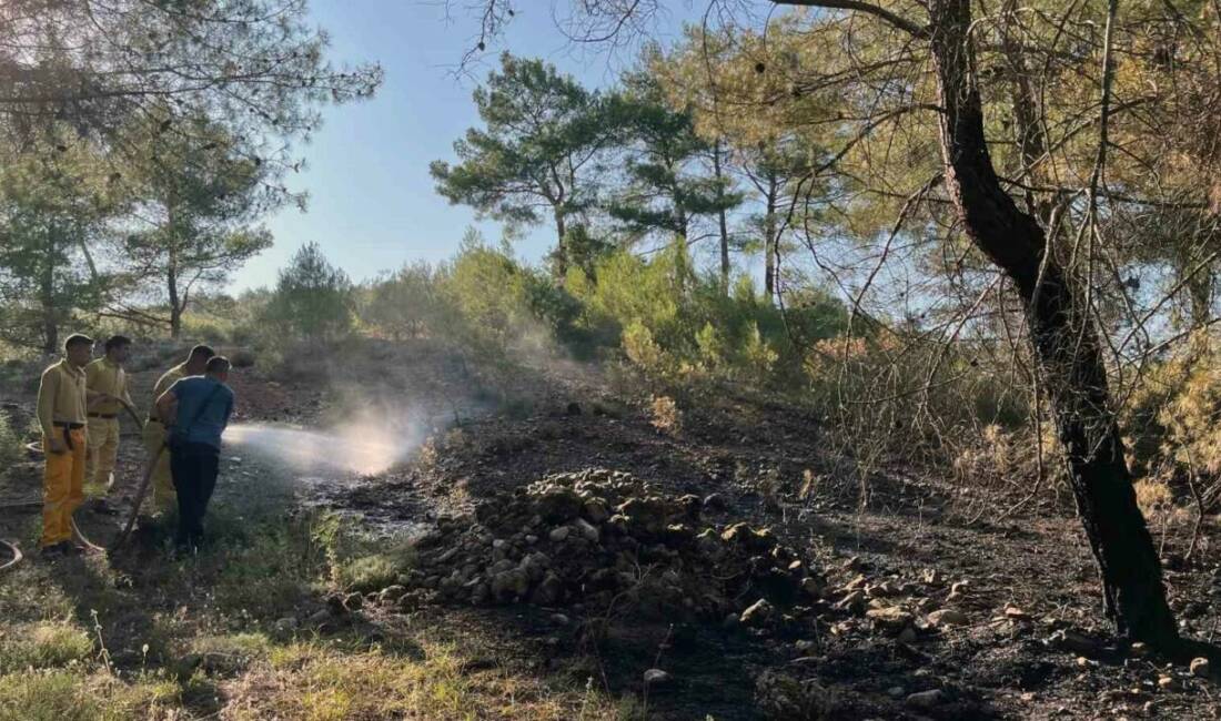 Muğla’nın Menteşe ilçesi Akçaova Mahallesinde çıkan orman yangını ekiplerin zamanında