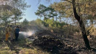 Muğla’nın Menteşe ilçesi Akçaova Mahallesinde çıkan orman yangını ekiplerin zamanında