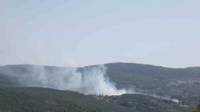 Muğla’nın Menteşesinde zeytinlik alanda çıkan yangın, ekiplerin havadan ve karadan