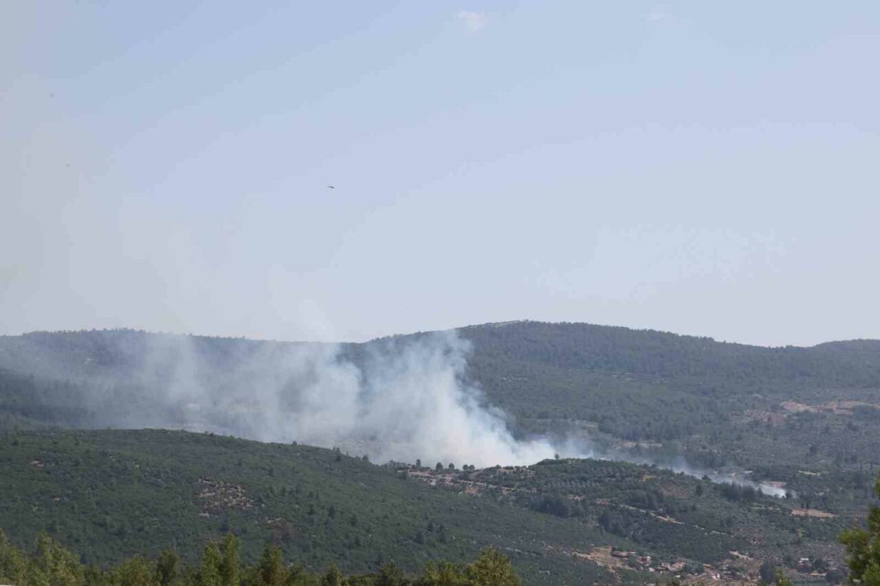 Muğla’nın Menteşesinde zeytinlik alanda çıkan yangın, ekiplerin havadan ve karadan