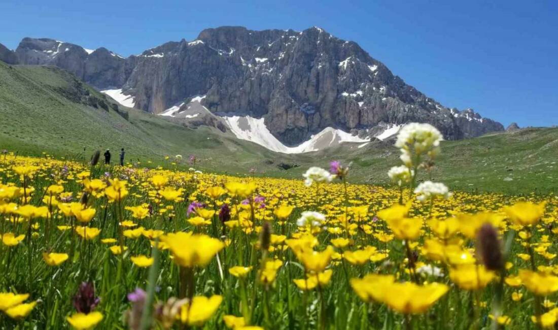Erzincan ve Tunceli arasında yer alan Munzur Dağları eteklerinde yaklaşık